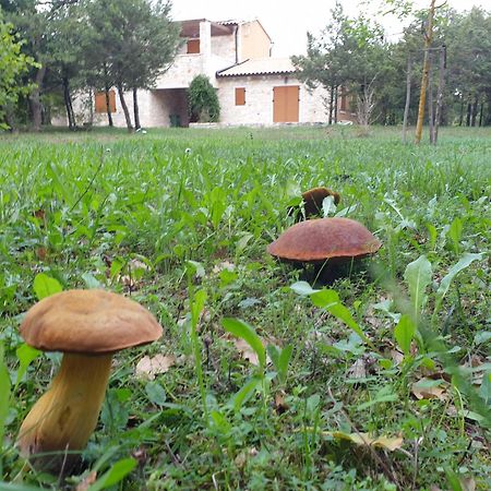 Villa Valeria Divsici Luaran gambar
