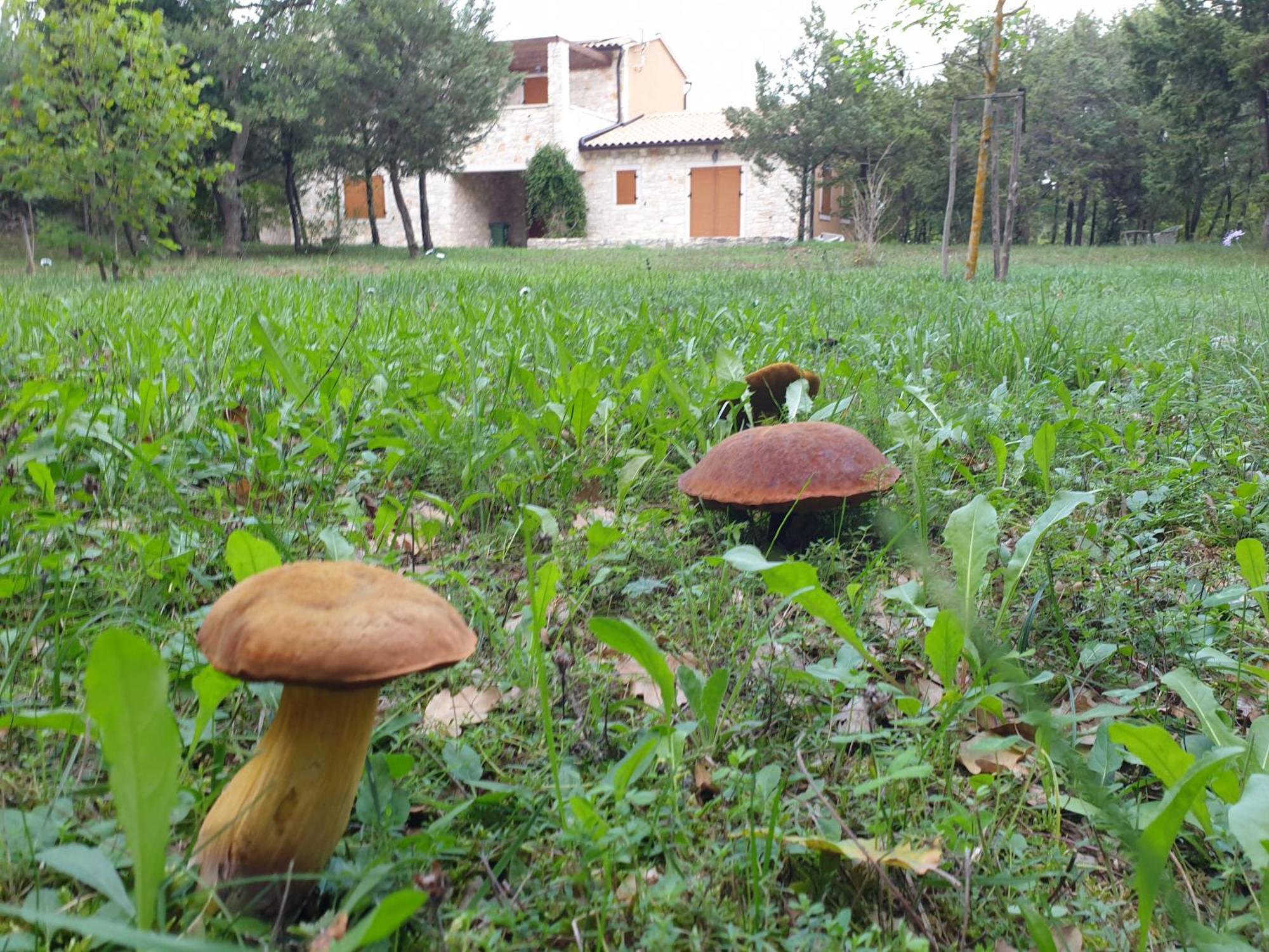 Villa Valeria Divsici Luaran gambar